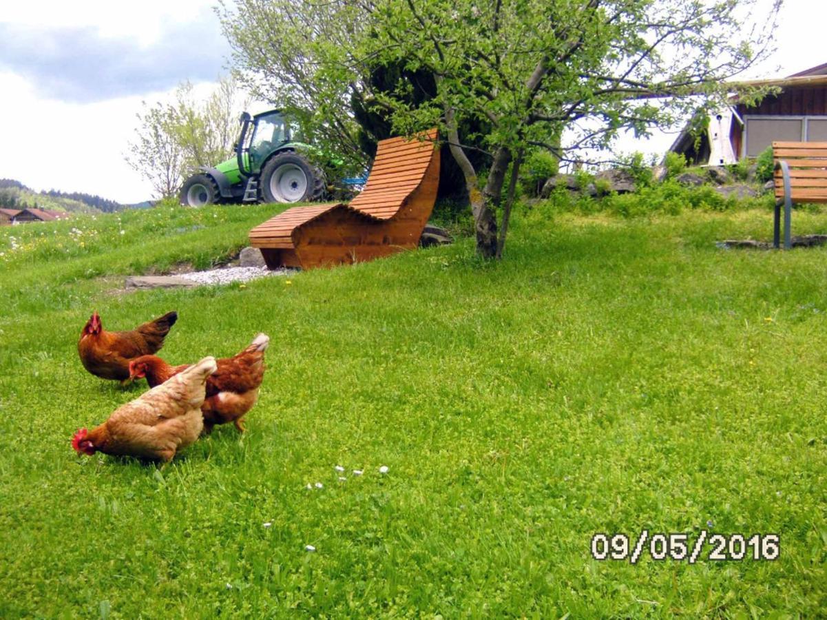 Ferienbauernhof Koepf Διαμέρισμα Füssen Εξωτερικό φωτογραφία